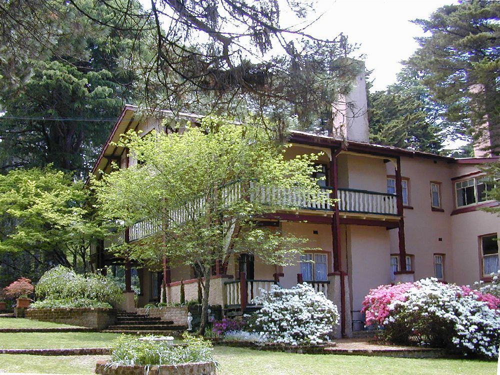 Whispering Pines Cottages Wentworth Falls Extérieur photo